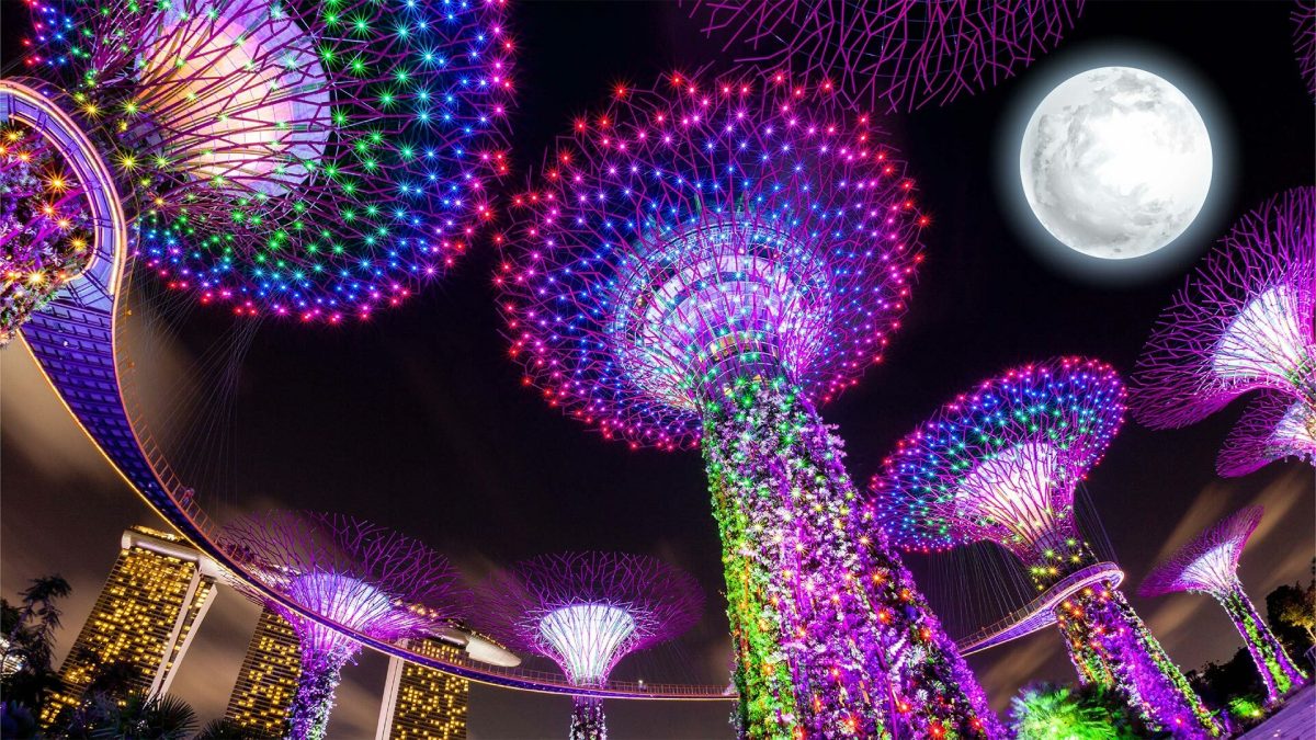 Photograph: Gardens by the Bay