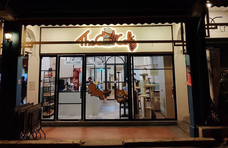 The Cat Cafe