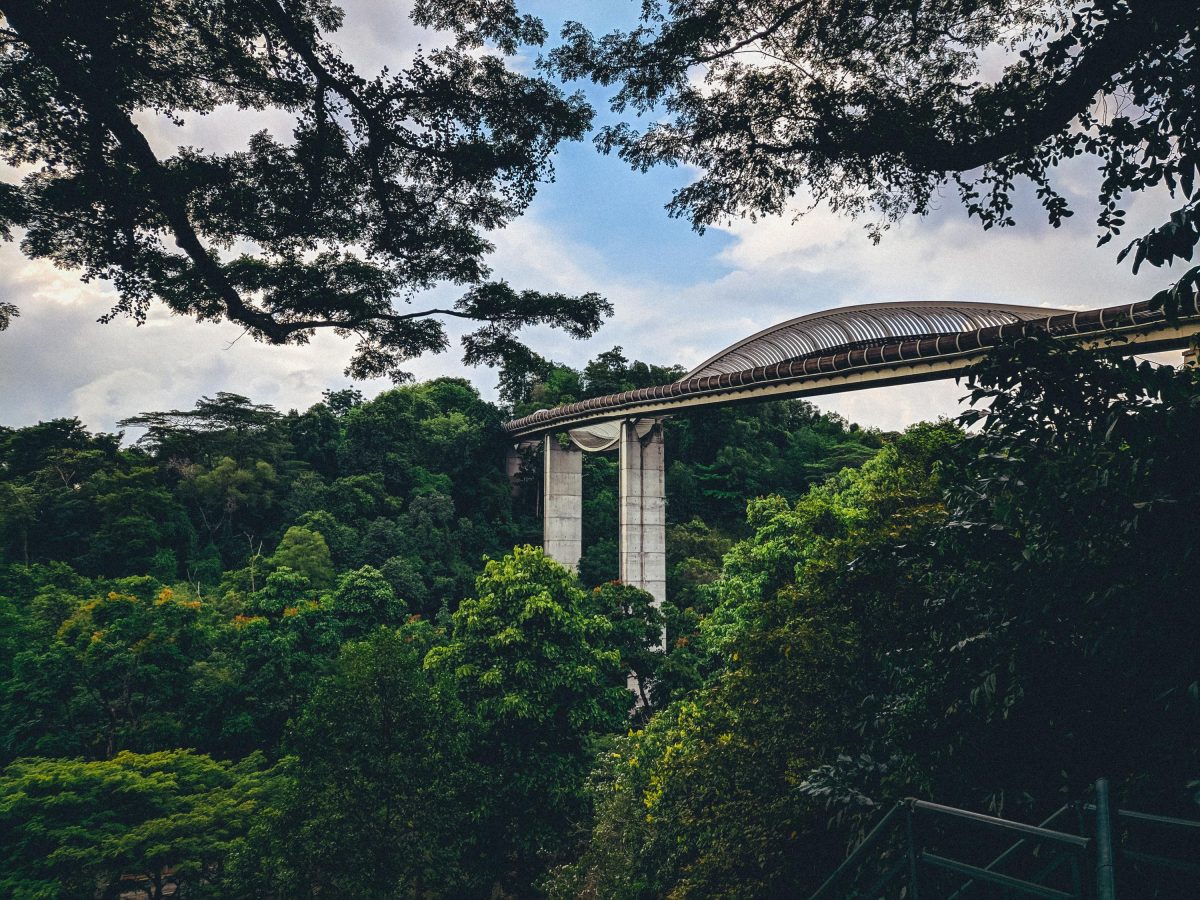 Henderson Waves