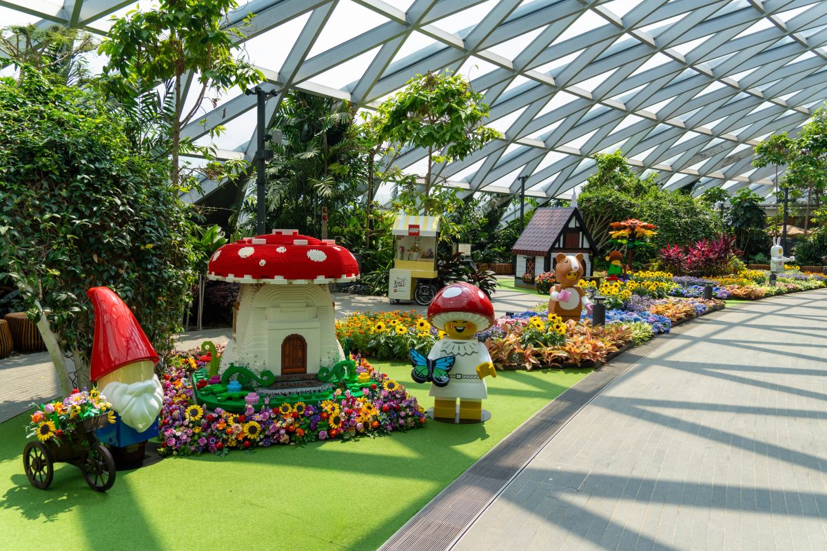 Celebrate Jewel Blooms with LEGO Botanicals