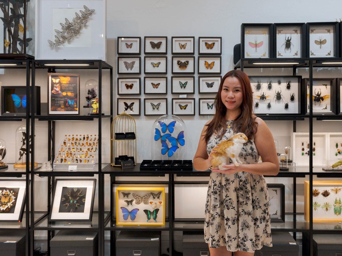 Black Crow Taxidermy & Art