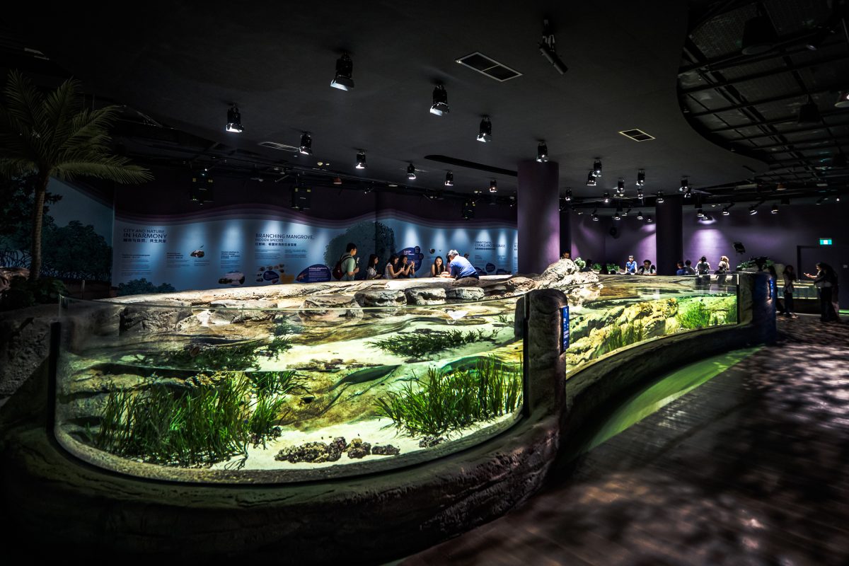 Singapore Oceanarium
