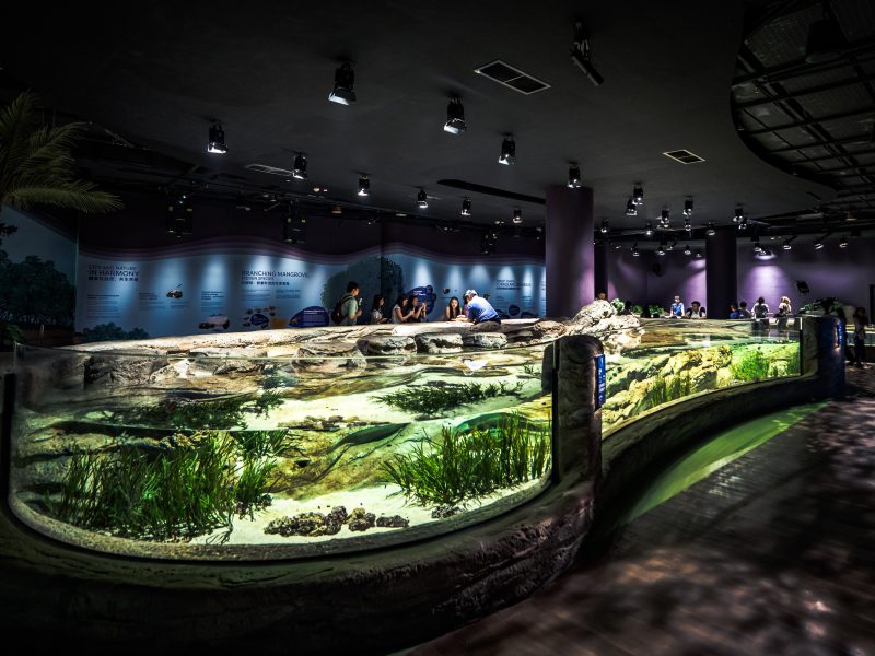 Singapore Oceanarium