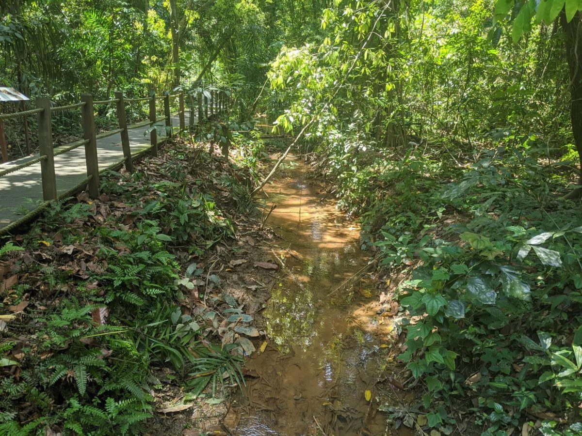 Windsor Nature Park