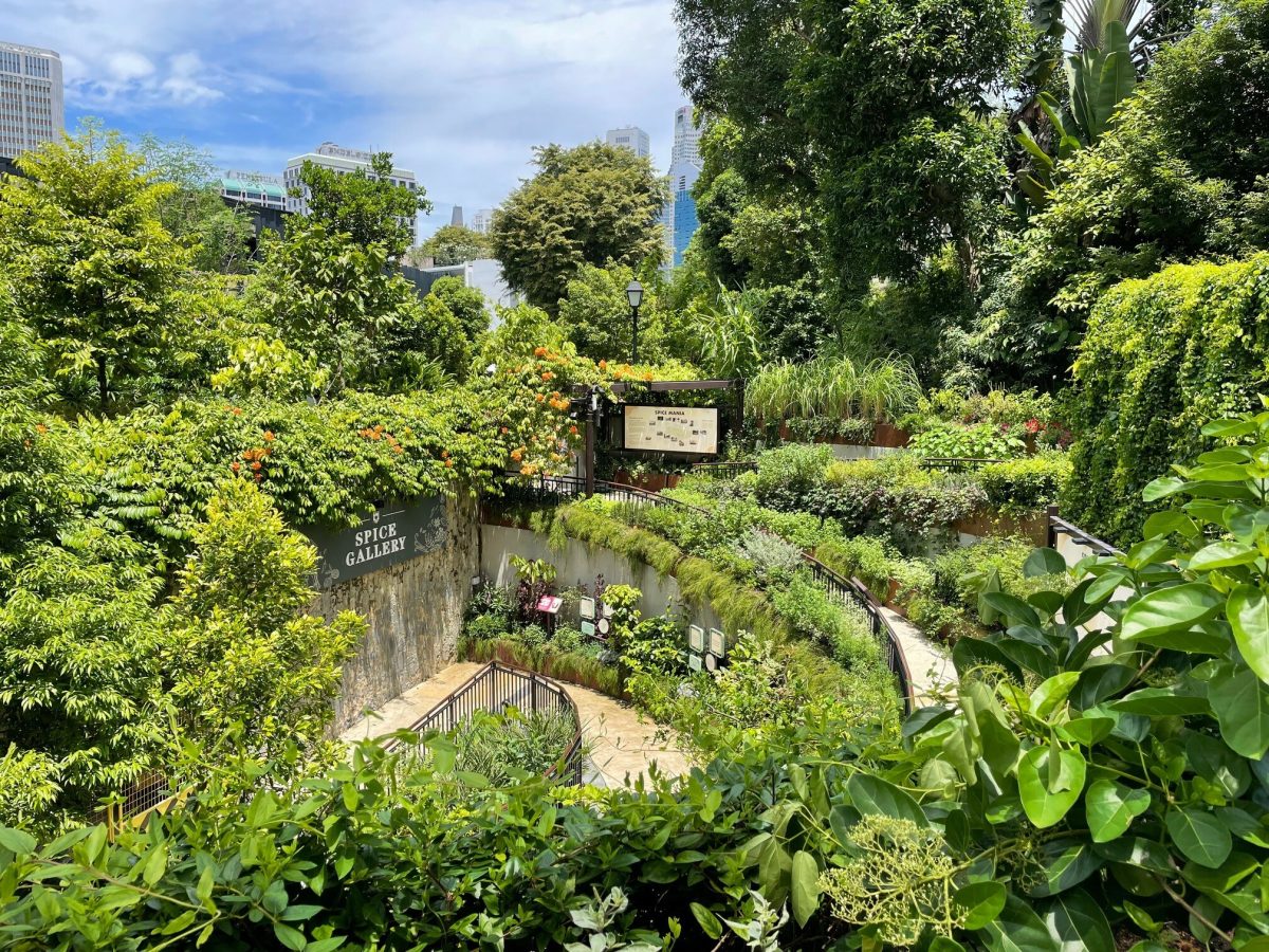 Fort Canning Park Spice Garden