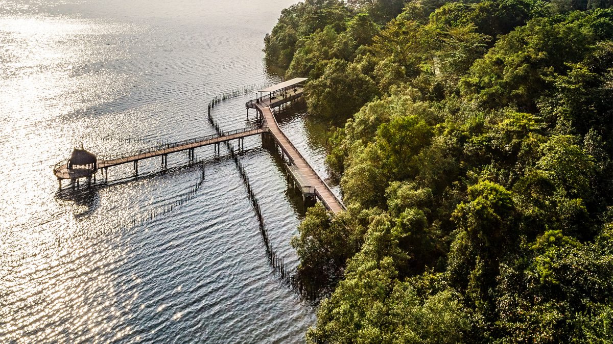 Sungei Buloh