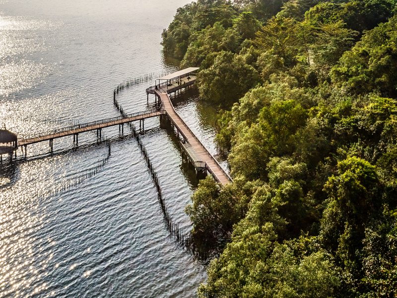 Sungei Buloh