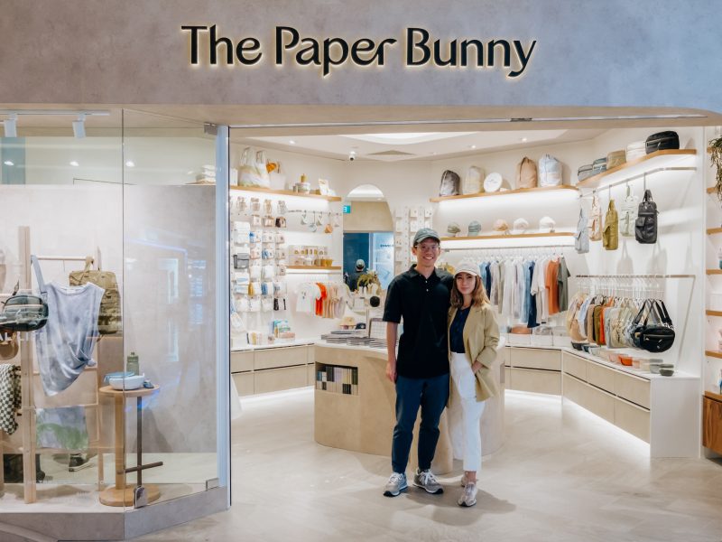 The Paper Bunny