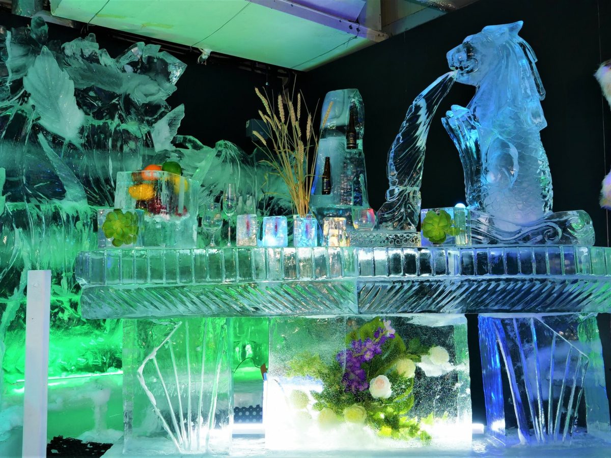 Ice Hotel Gallery