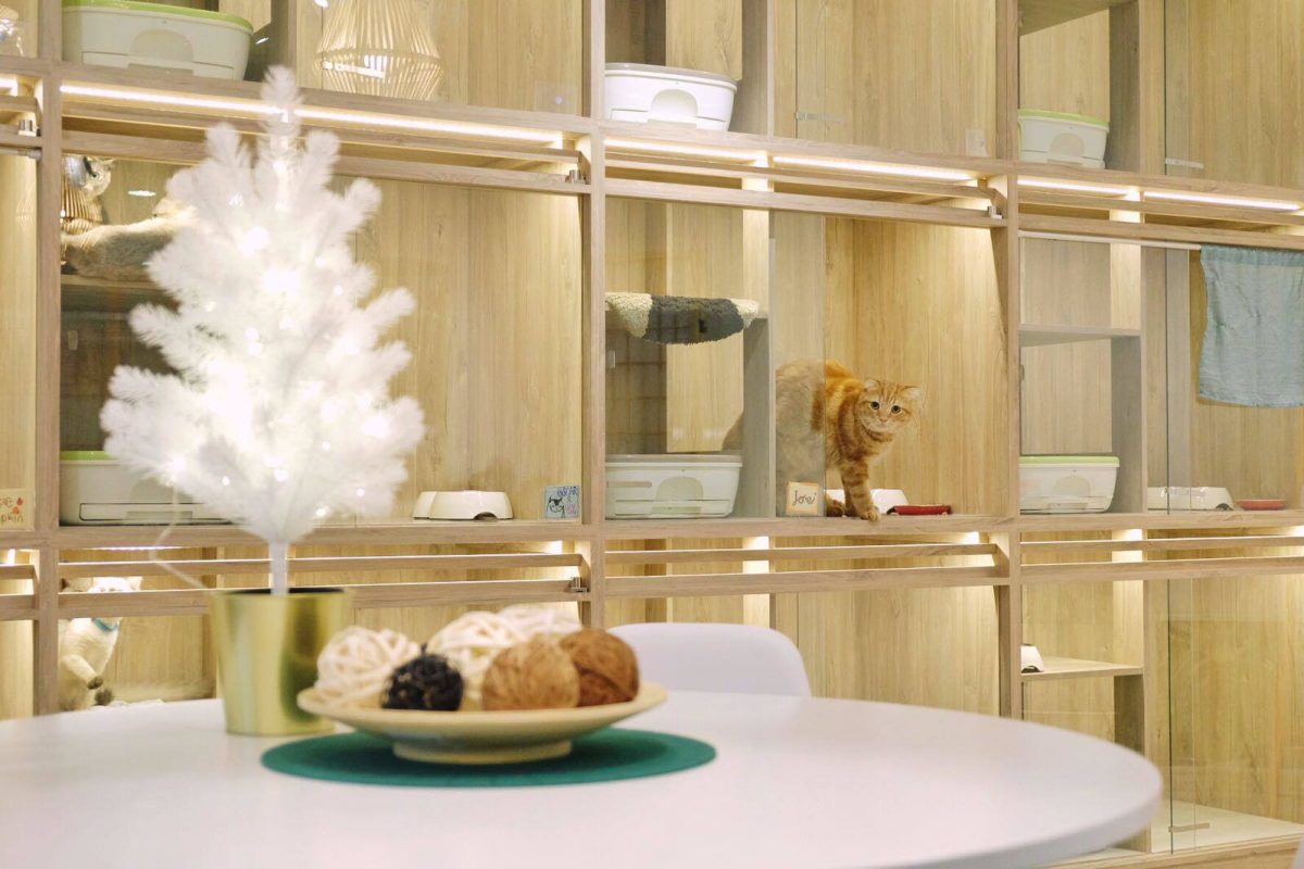 Nekoya Cat Hotel