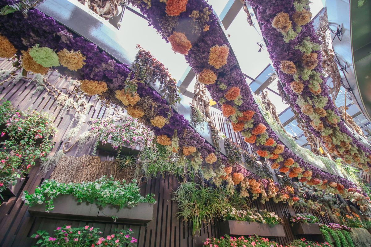 Floral Fantasy