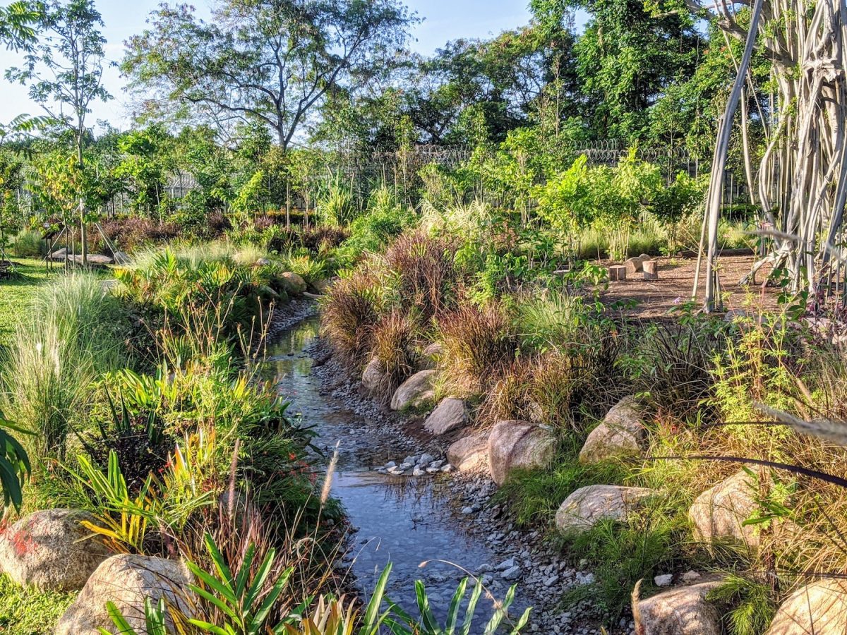 Sembawang Hot Spring Park