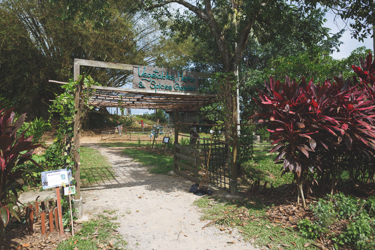 Sensory Trail, Pulau Ubin