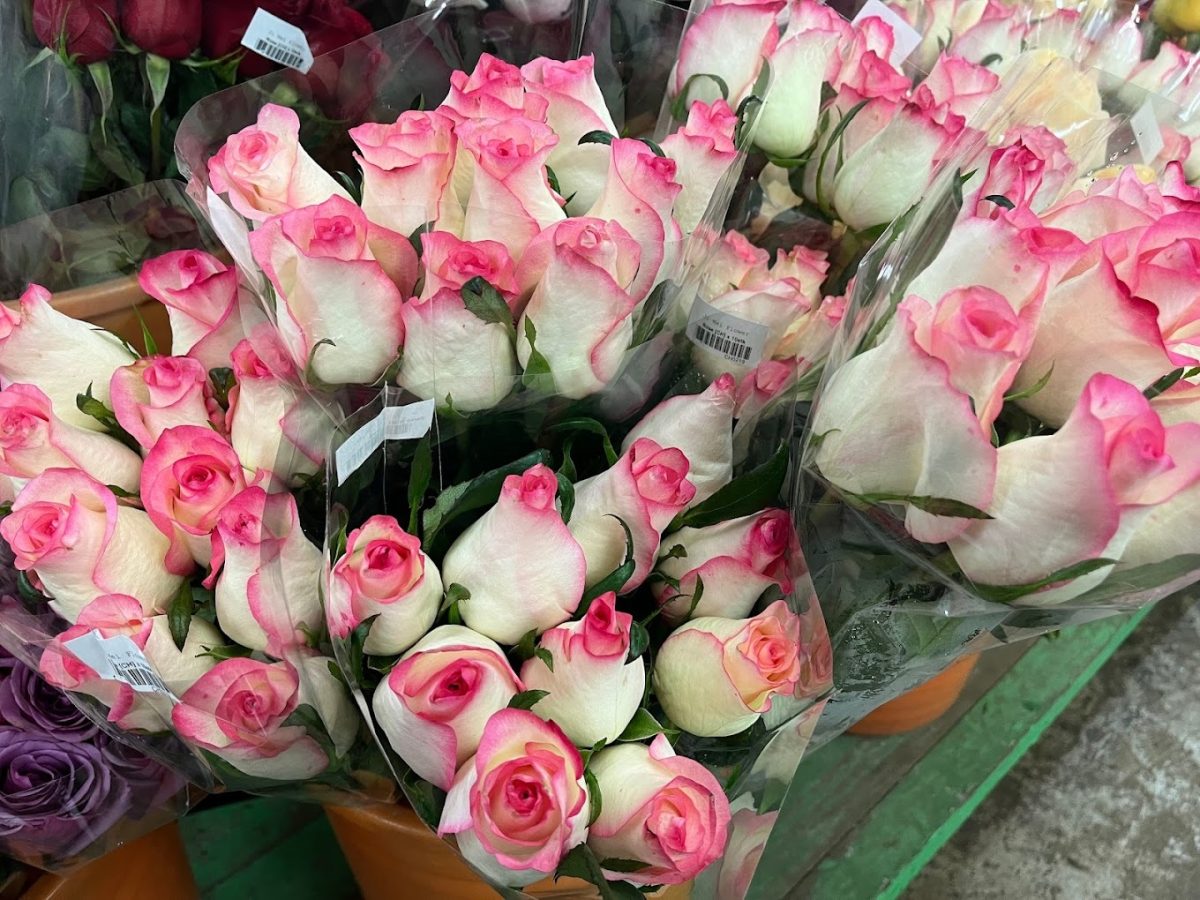 Ji Mei Flower