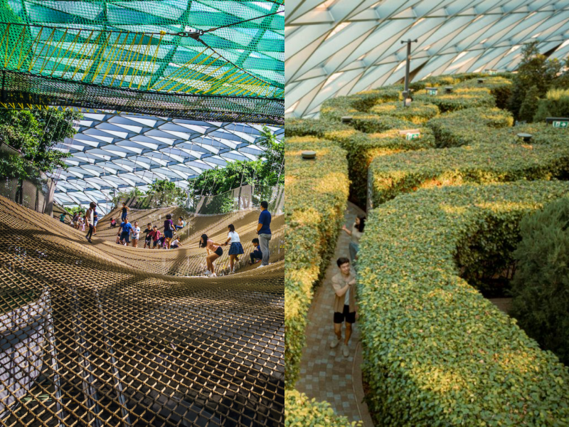 canopy park