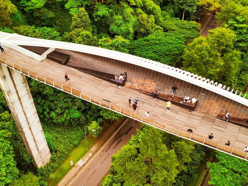 Henderson Waves