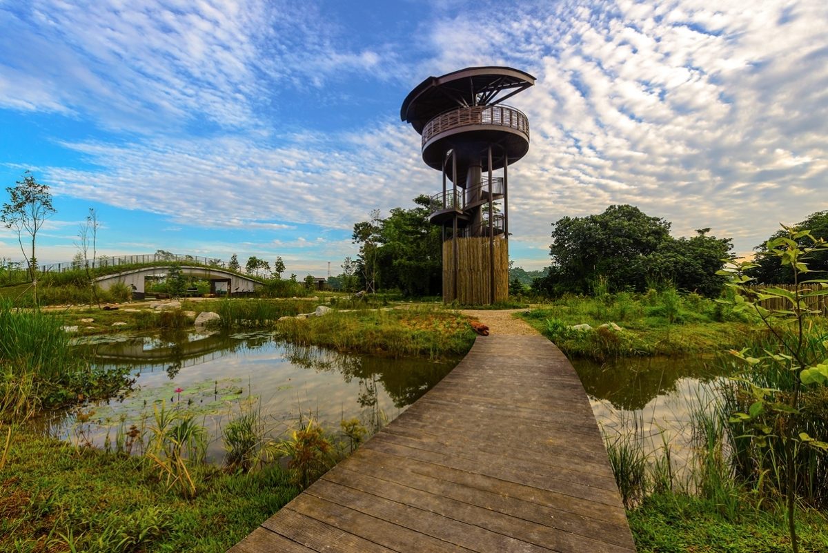 Kranji Marshes