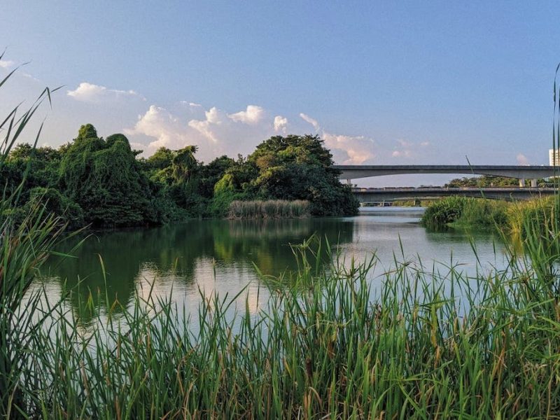 sengkang riverside