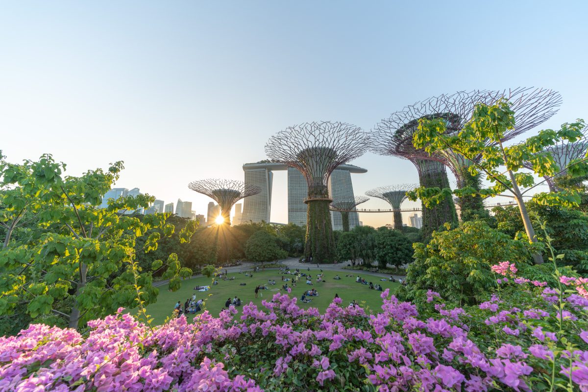 Gardens by the bay