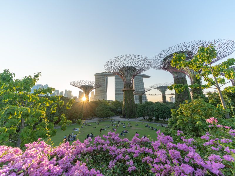 Gardens by the bay