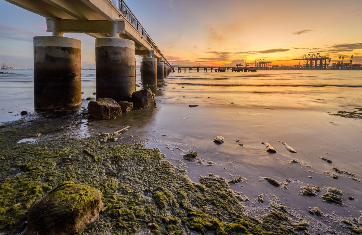 Labrador Jetty
