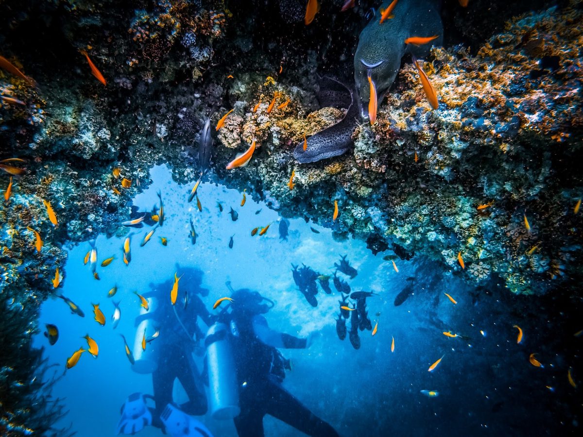 diving in southeast asia