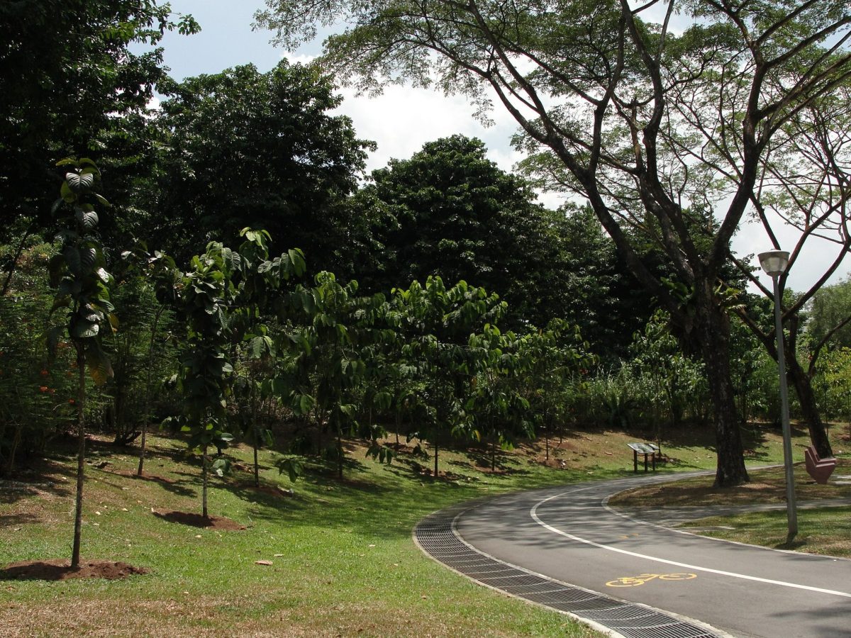 Yishun Park