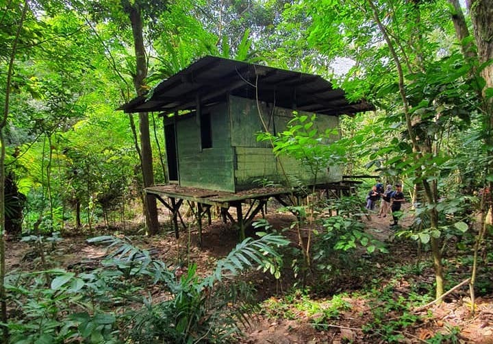 Hut in Chestnut Nature Park