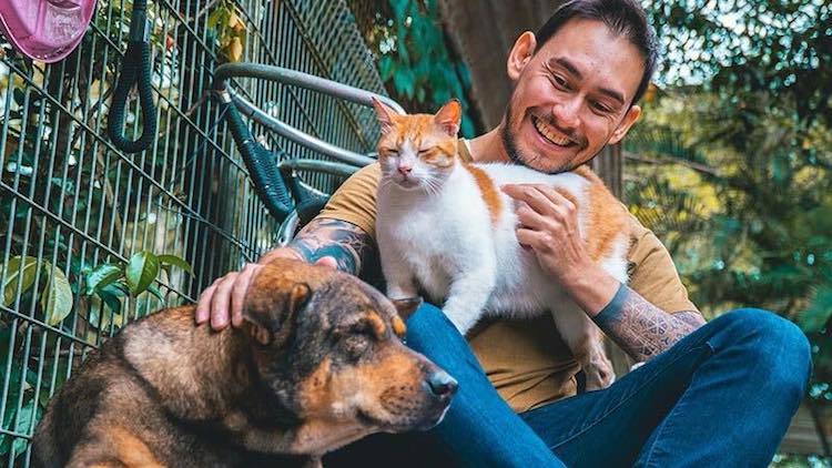 Animal Lovers League - cat and dog