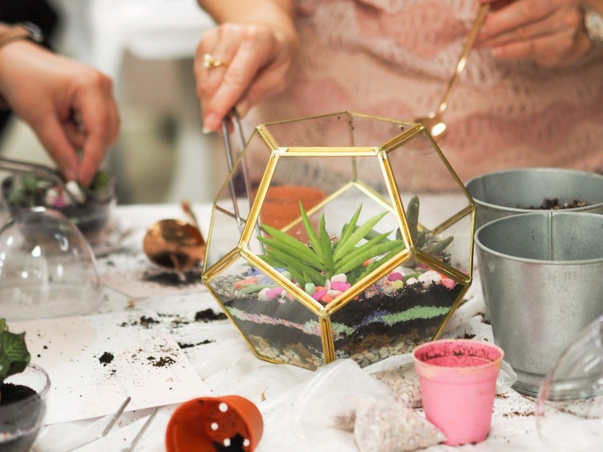 J² Terrarium