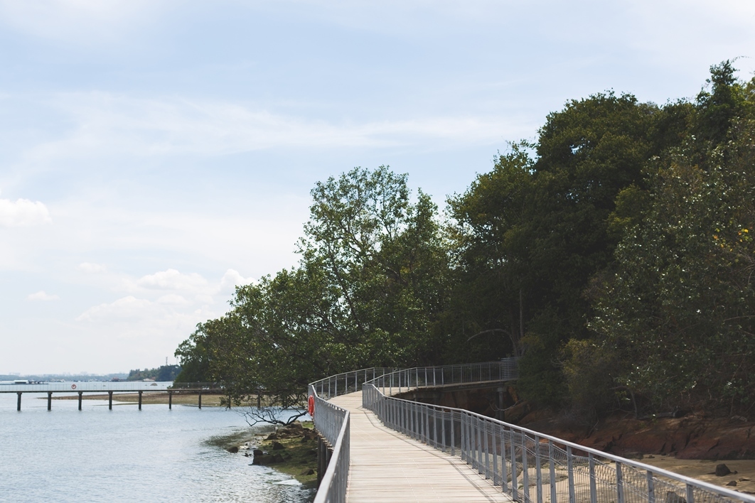Chek Jawa, Pulau Ubin