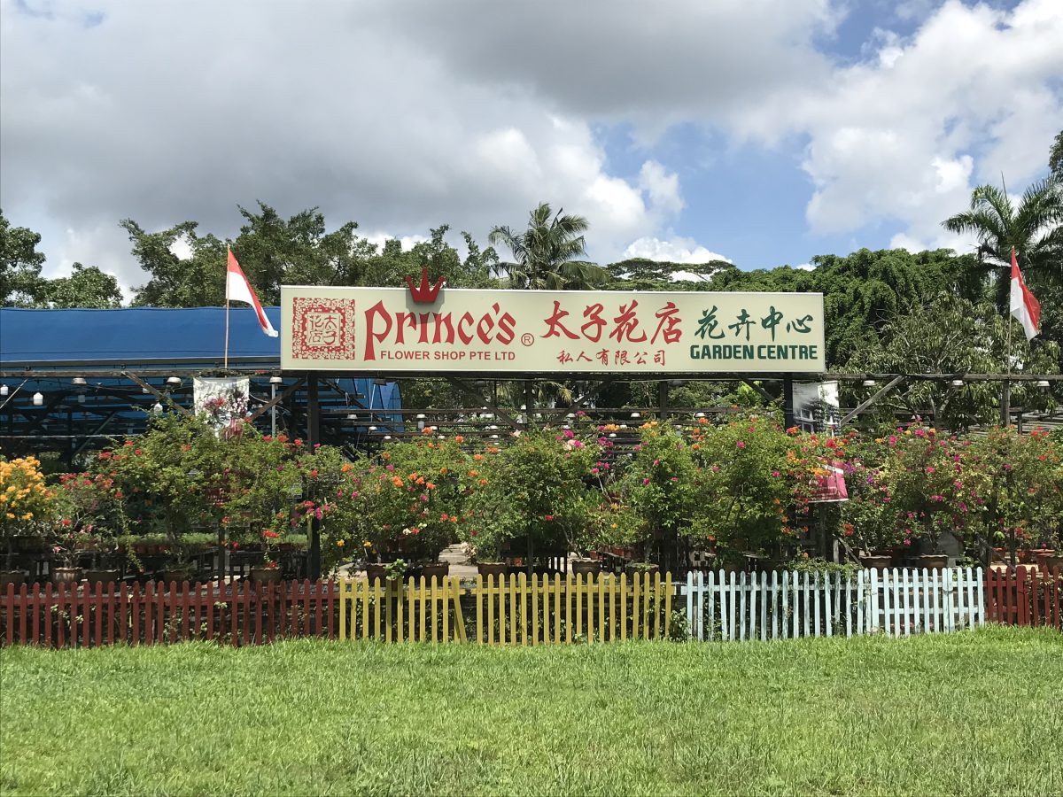 Prince's Landscape Retail