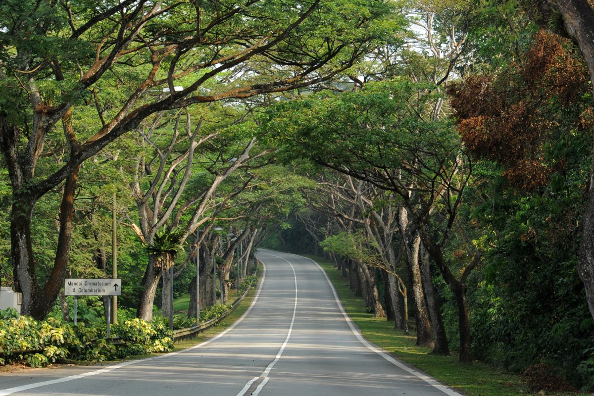 Mandai Road