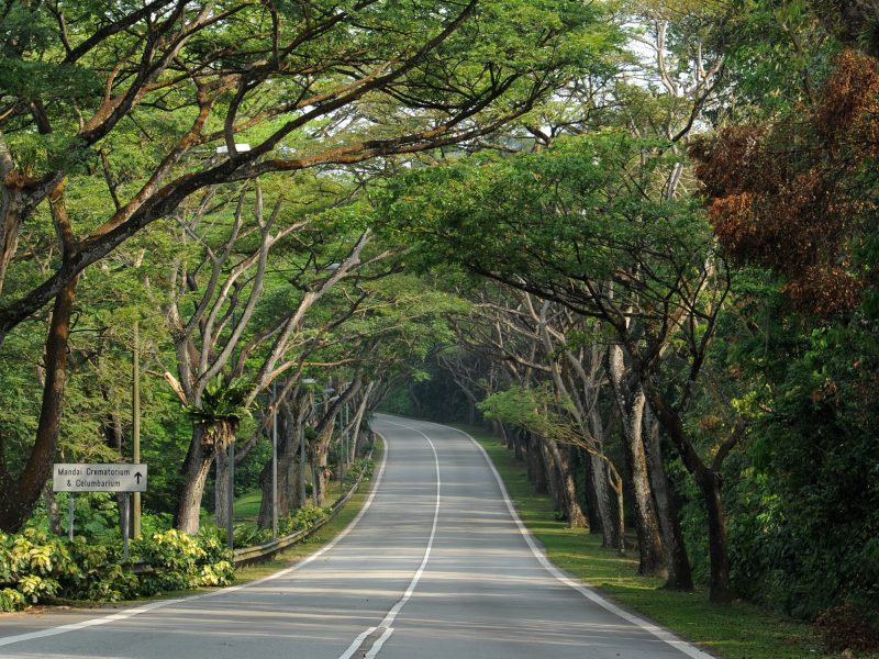Mandai Road