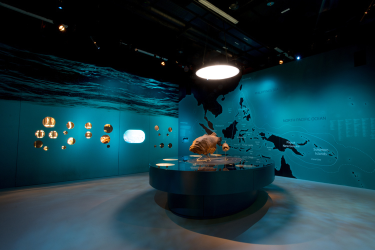 Lee Kong Chian Natural History Museum