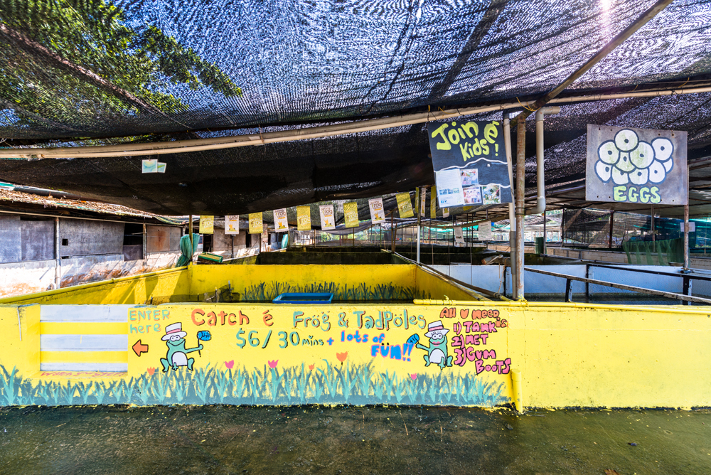 Jurong Frog Farm
