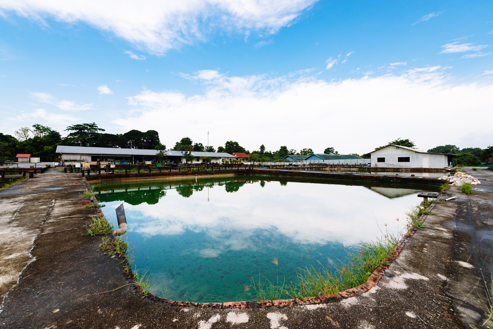 Khai Seng Fish Farm