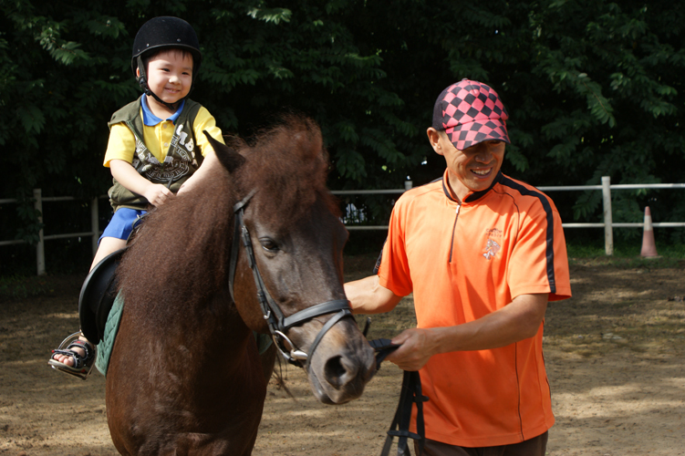 Gallop Stable