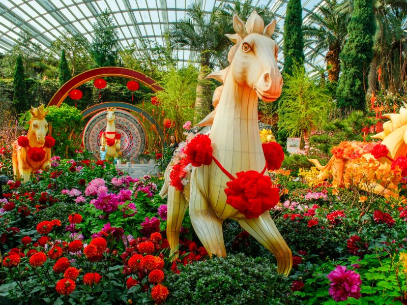 Spring in Bloom, Chinese New Year floral display at Gardens by the Bay
