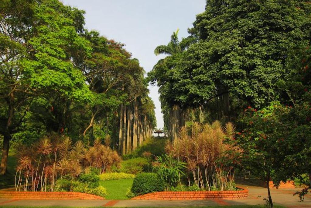 Ang Mo Kio Town Garden West