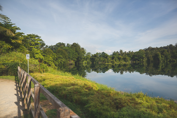Pekan Quarry, Pulau Ubin
