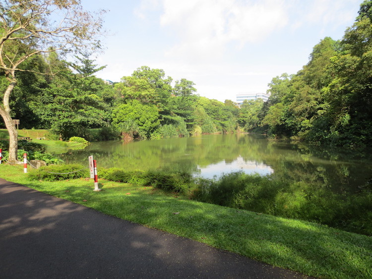 Kent Ridge Park