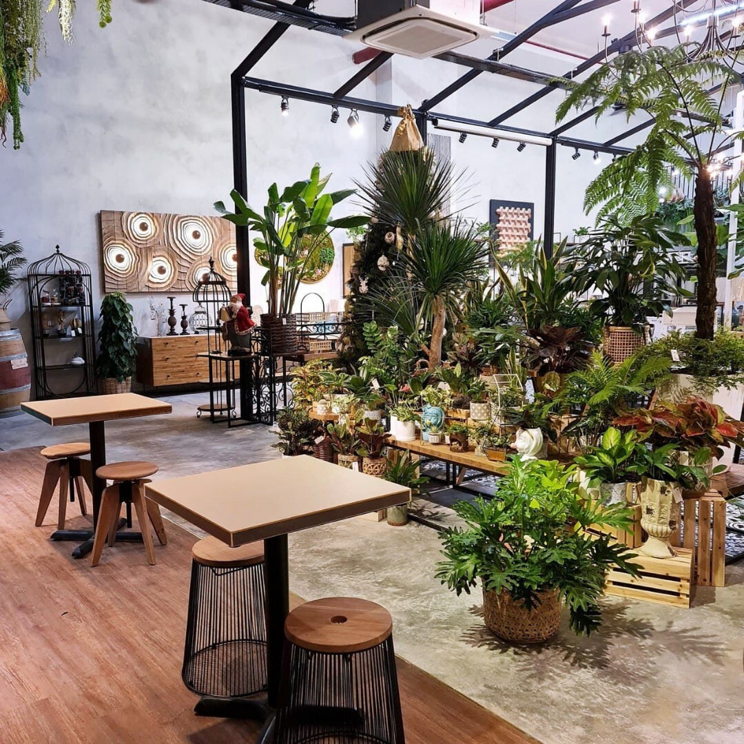 Photograph: Knots Cafe & Living