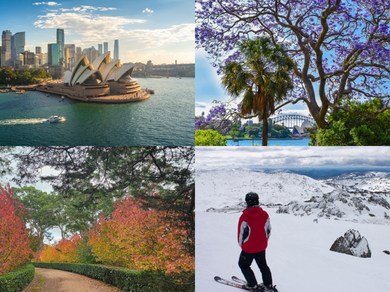 Sydney