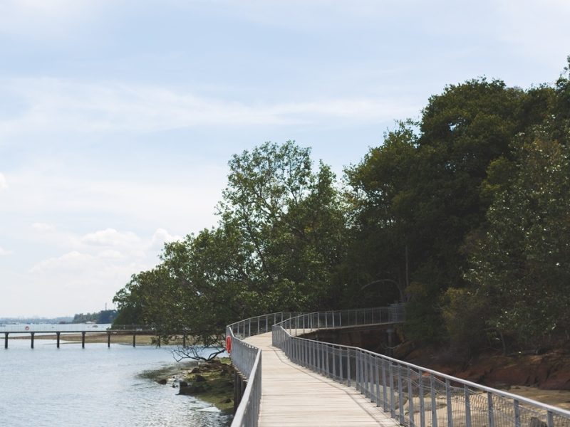 Chek Jawa, Pulau Ubin