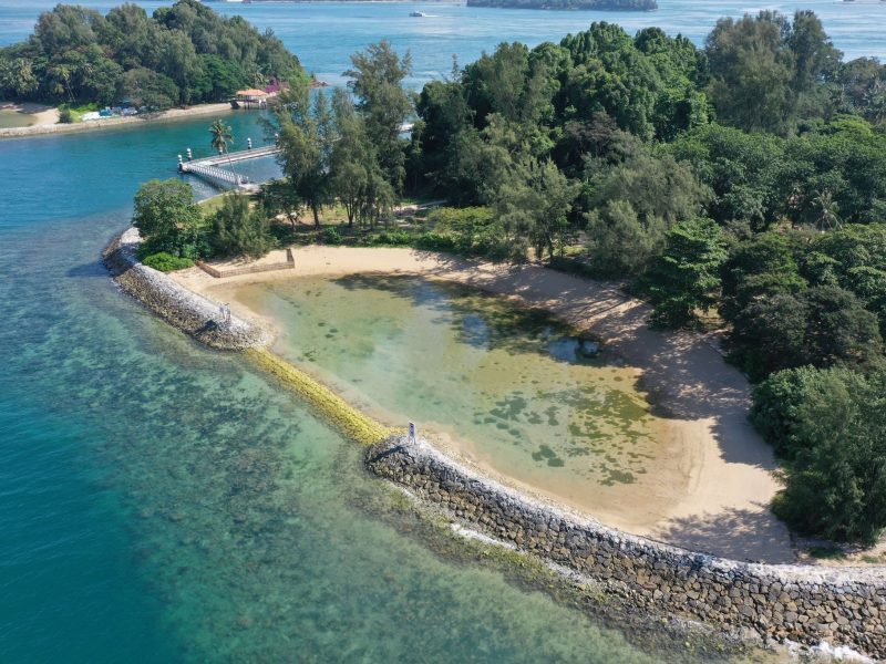 Big Sister's Island