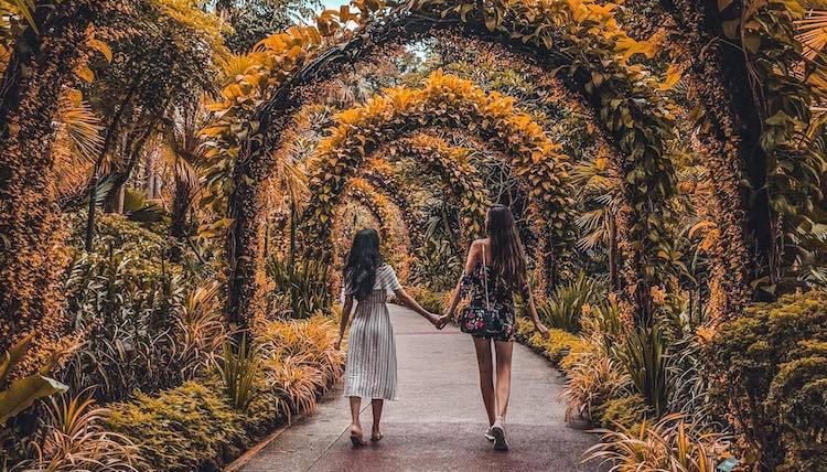 National Orchid Garden in Botanic Gardens by Cheryl (@lyrehcrm)
