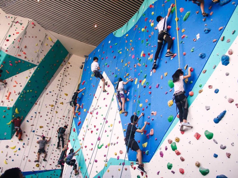 The Rock School