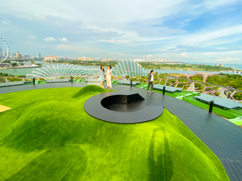 Gardens by the Bay, Supertree Observatory