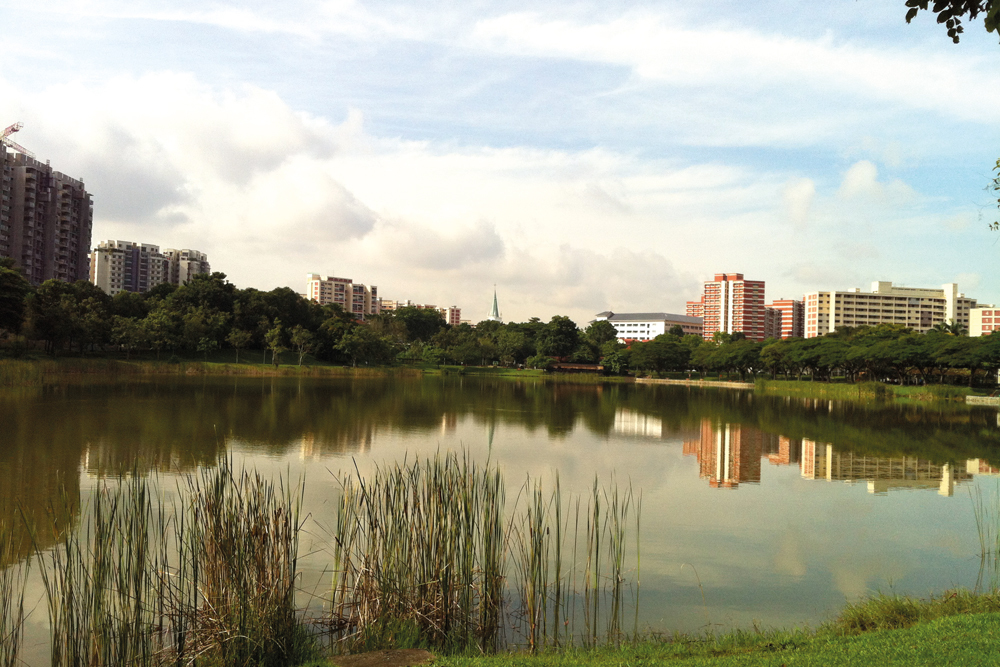 Punggol Park